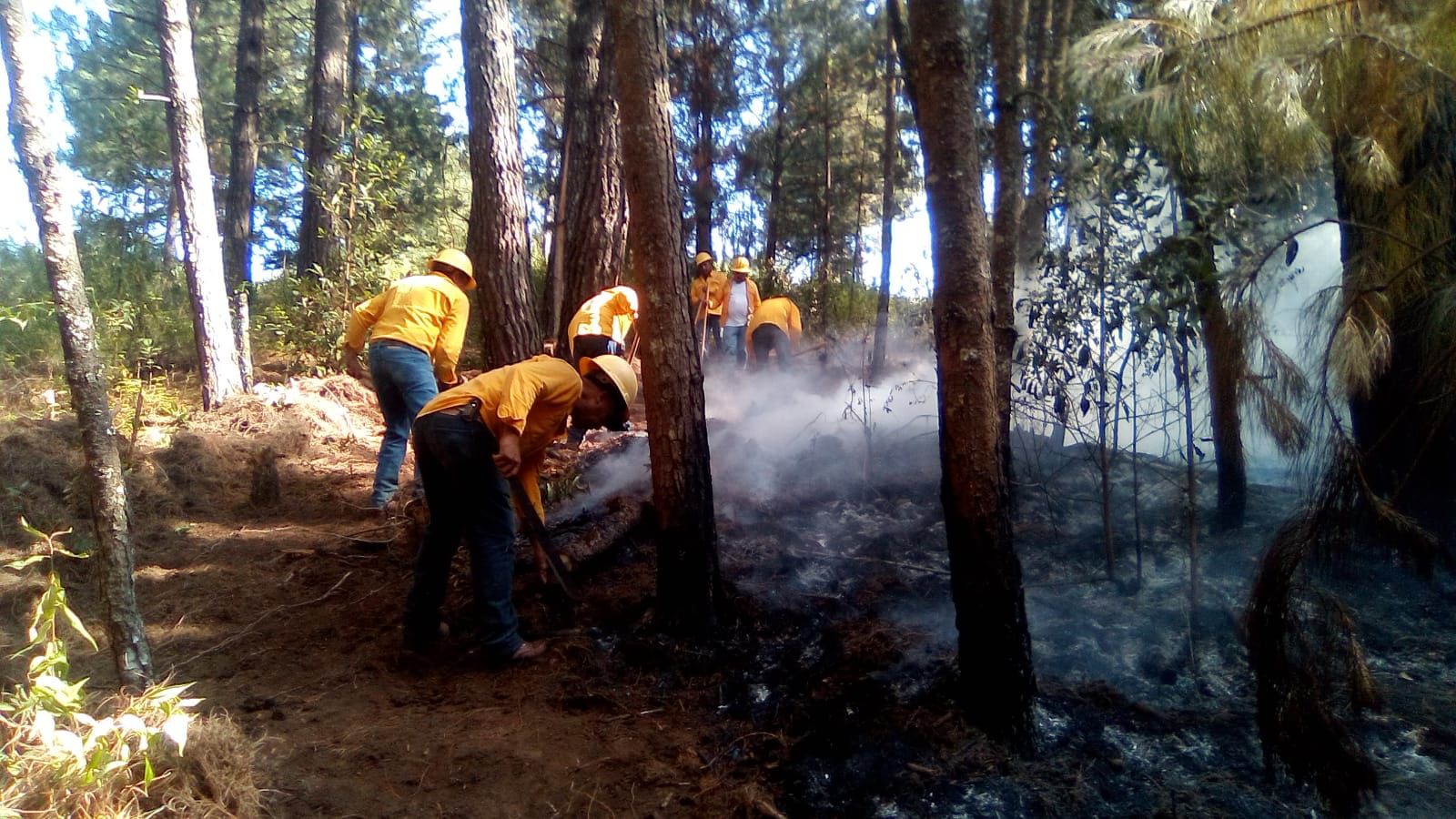 Gobierno de Bedolla dio apoyo histórico para combatir incendios forestales