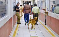 Chencho, el guardia canino que adoptó la SEE