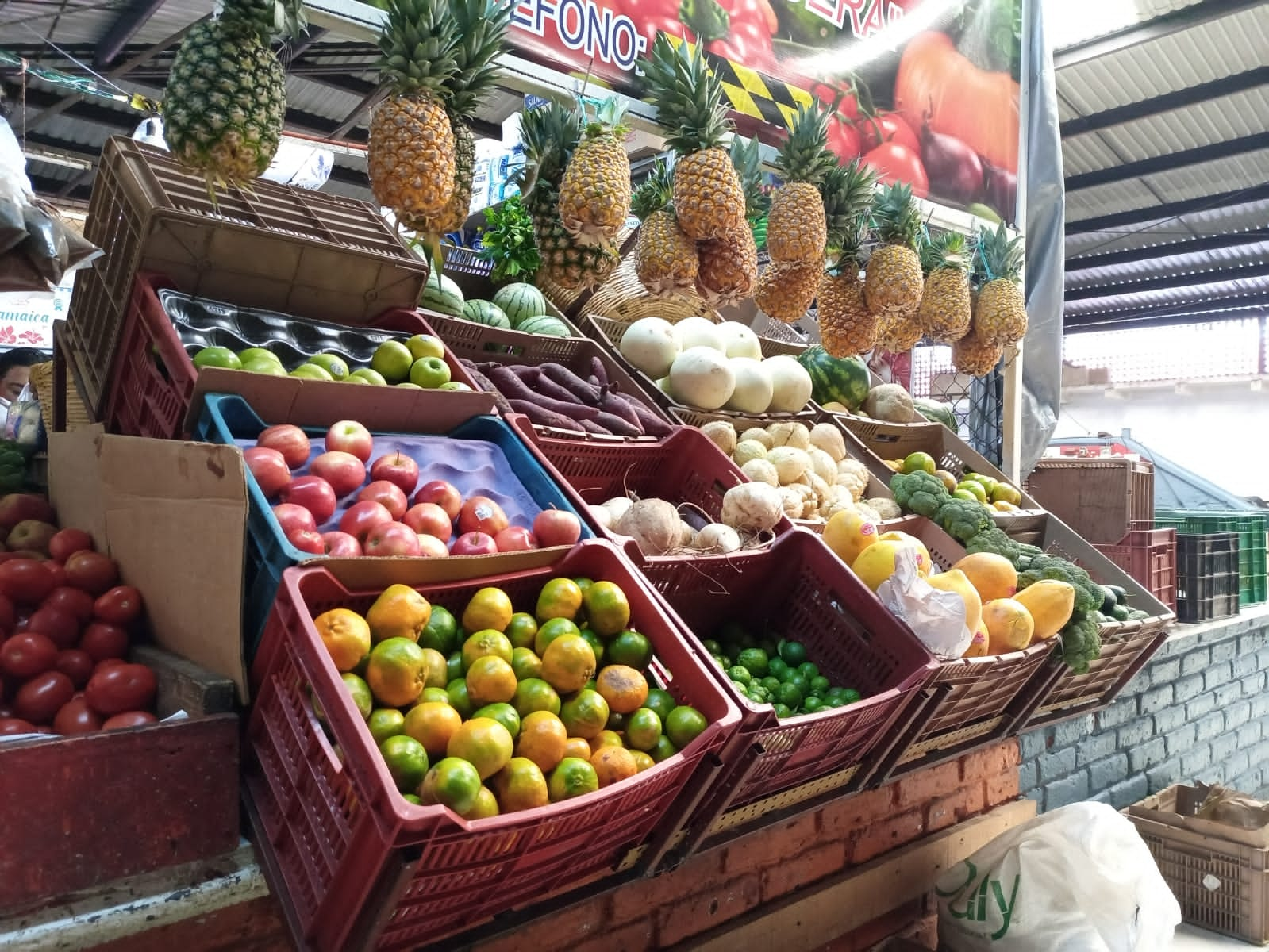 Tradición de altares en hogares va a la baja