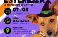 Campaña de esterilización a bajo costo octubre