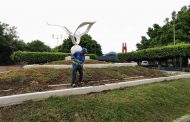 Realizaron faena de mejoramiento y limpieza en parques de Plaza Las Palomas y calles adyacentes