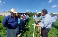 Sader y FAO revisan en Michoacán proyecto para uso eficiente del agua y fertilizante