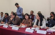 Diputados del PAN iremos por presupuestos justos y razonables para órganos desconcentrados: Lariza Pérez