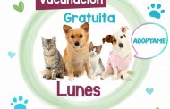 Realizarán en Jacona campaña de vacunación antirrábica y de adopción de felinos y caninos