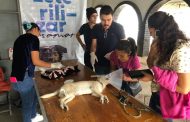 Carlos Soto impulsa campañas gratuitas de esterilización de animales de compañía