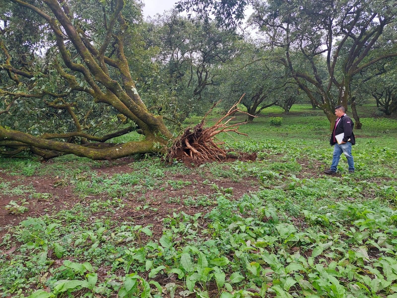 Por vez primera se registró un tornado en el municipio de Peribán