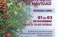 ¿Dónde comprar tu árbol de Navidad natural? Cofom anuncia su tradicional bazar