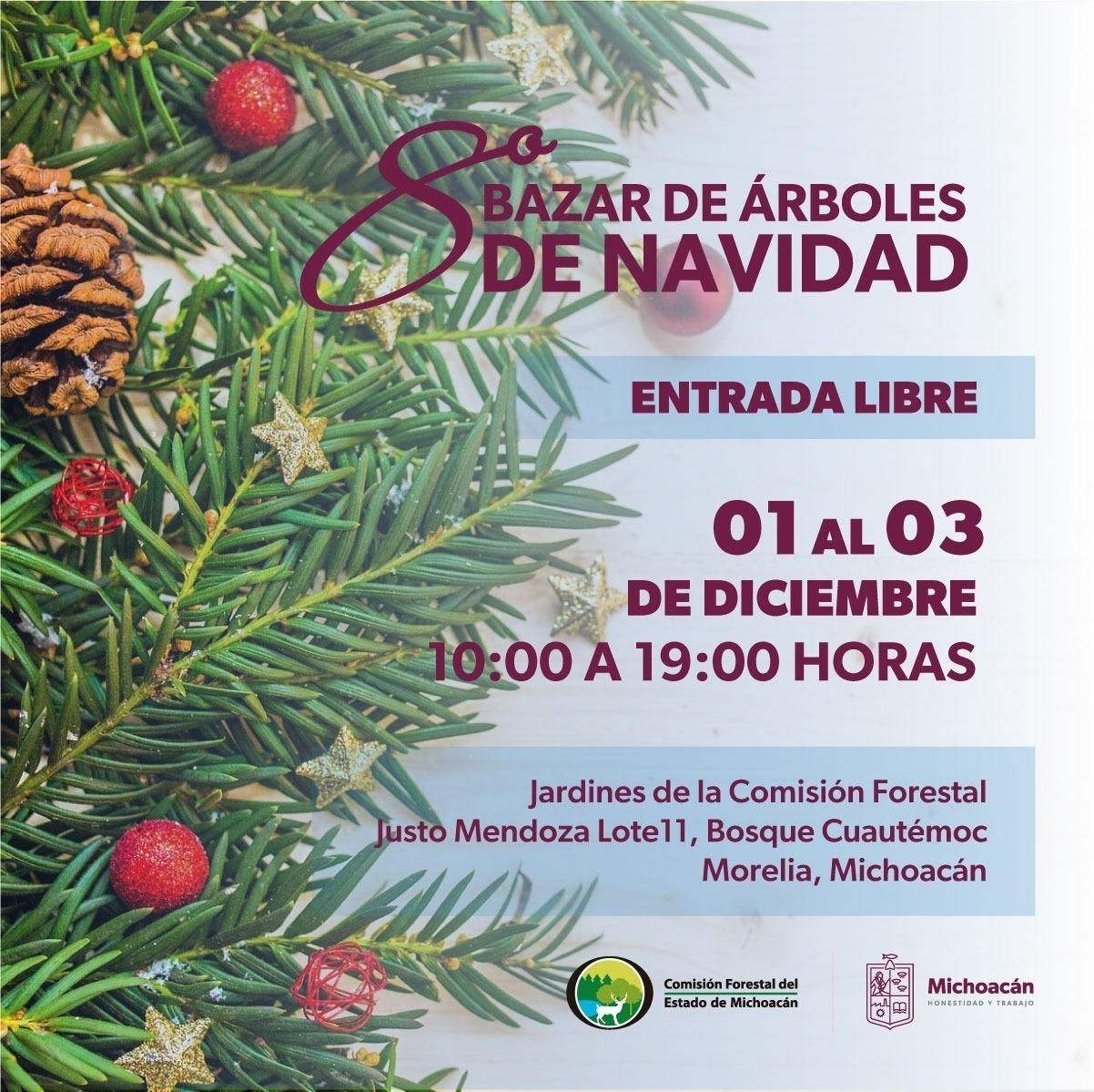 ¿Dónde comprar tu árbol de Navidad natural? Cofom anuncia su tradicional bazar