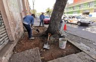 Reparan banquetas dañadas en el cruce de avenida Juárez y Pino Suárez.