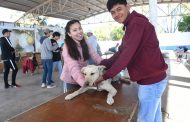 La Piedad cuenta con el segundo espacio de atención canina en el estado