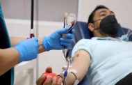 Donar sangre, salva vidas; conoce los requisitos para hacerlo de forma altruista