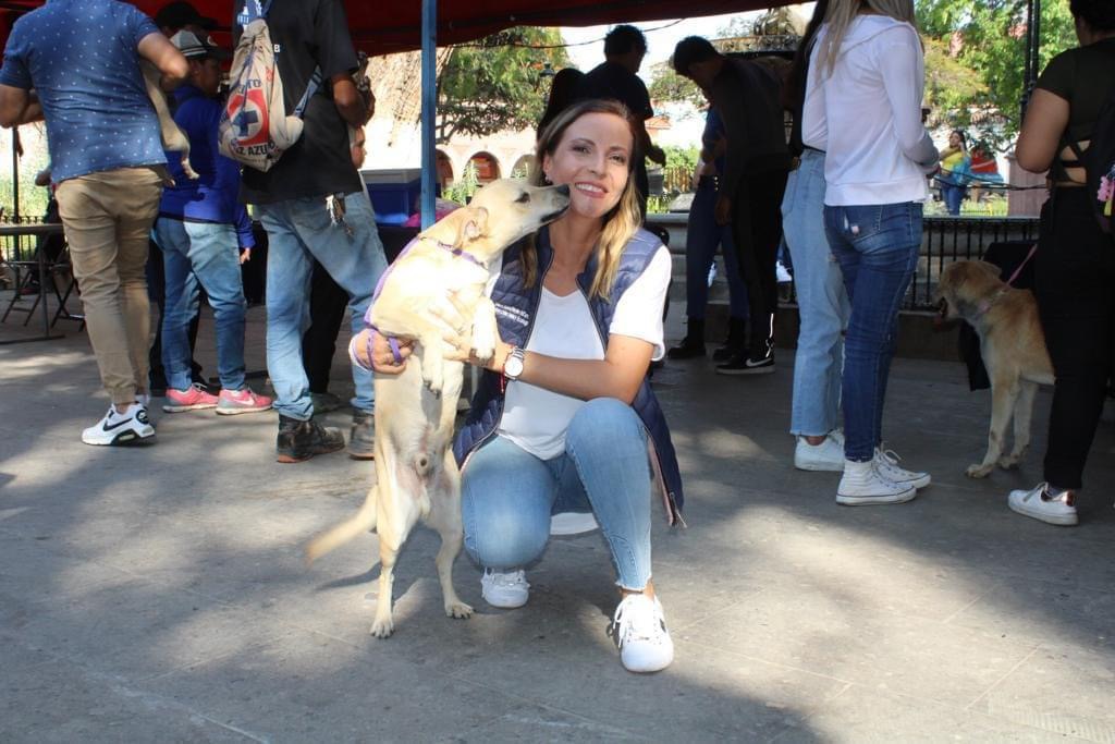 El presidente Carlos Soto invita a la campaña de adopción de animales de compañía