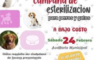 Disponibles lugares para atender tu mascota en Jacona