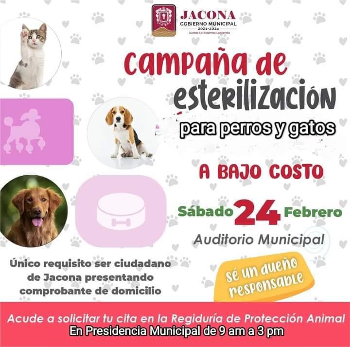 Disponibles lugares para atender tu mascota en Jacona