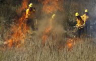 ¿Quieres reportar un incendio forestal? Llama a estos números