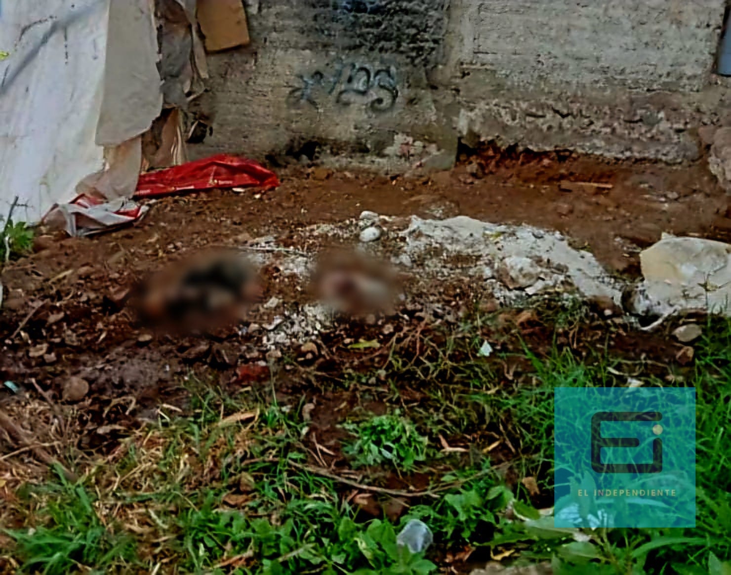 Localizan 5 cuerpos en fosa clandestina de “La Burrera”, Jacona 