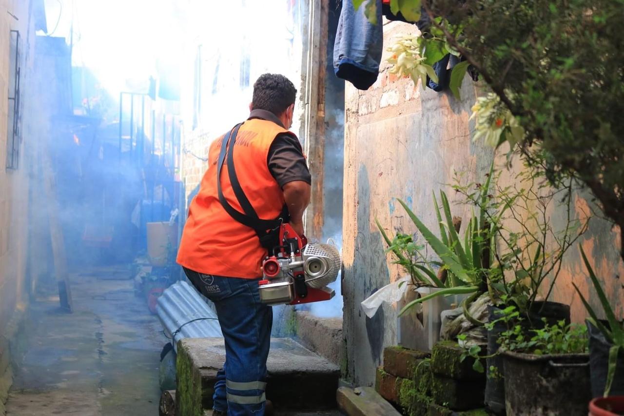 Mantienen monitoreo para evitar brotes de dengue en zona urbana 