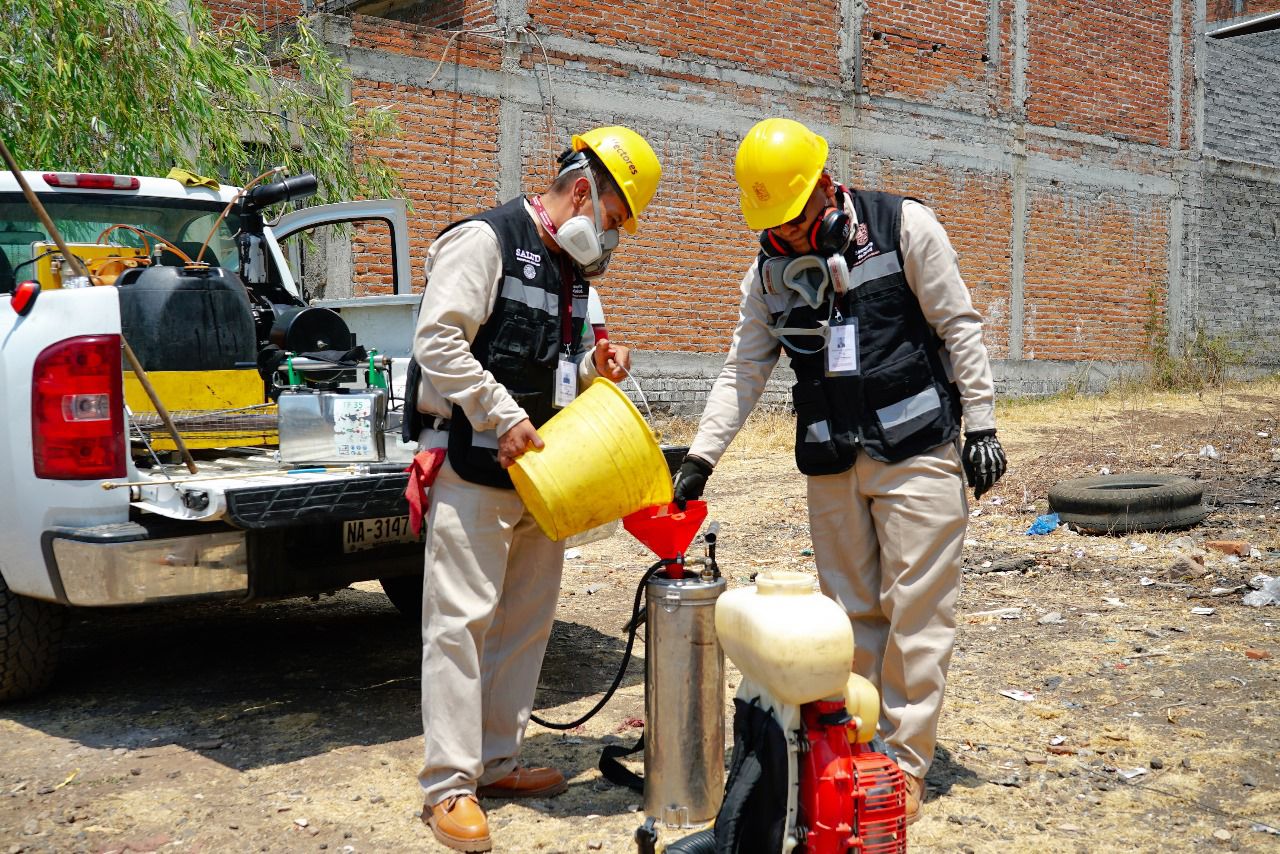 Ante las lluvias, refuerza desde casa esta estrategia para prevenir el dengue