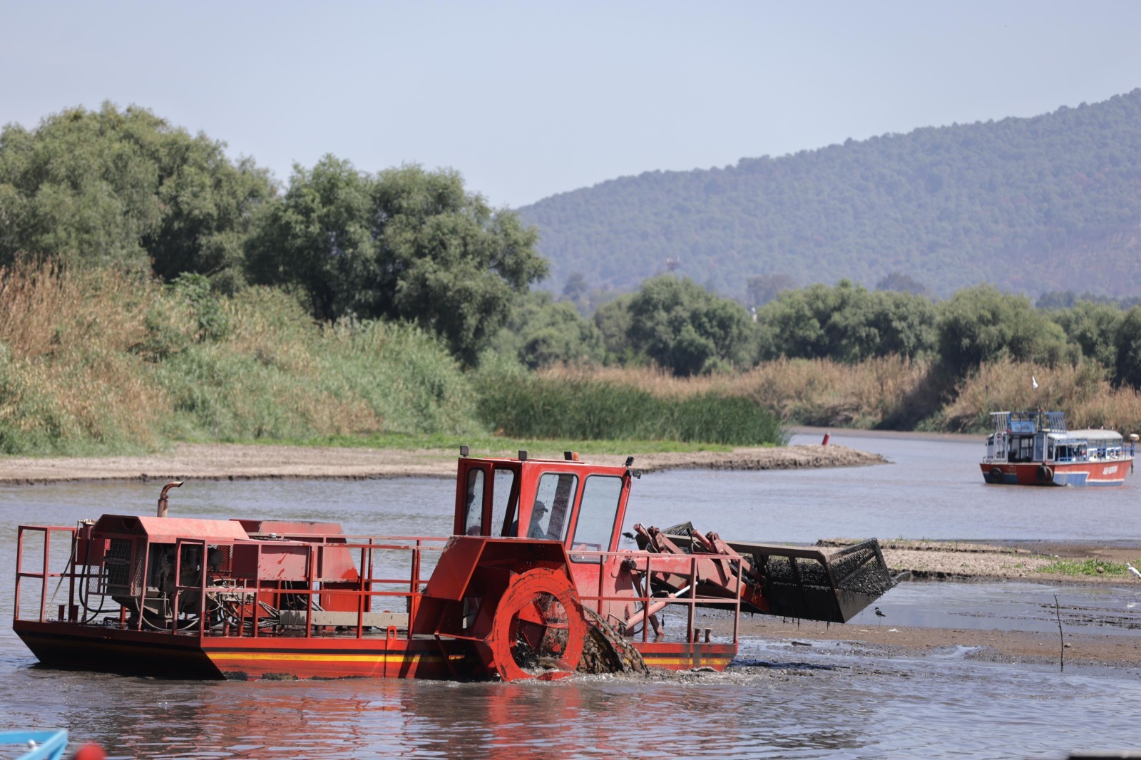 Plantarán 1.5 millones de árboles para salvar el lago de Pátzcuaro