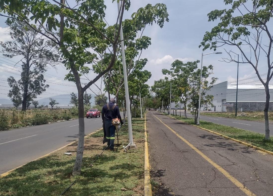 Realizan acciones de mejoramiento y mantenimiento en Acceso Norte y avenidas Morín y Juárez