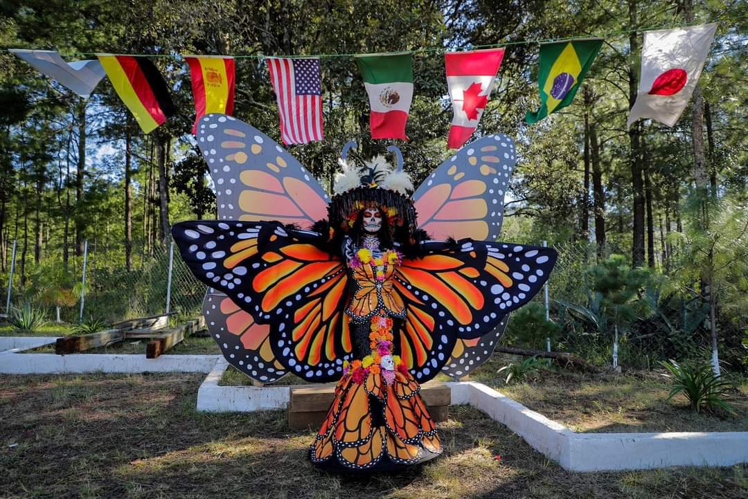 Cumple Biosfera de la Monarca 16 años como Patrimonio Mundial de la Humanidad