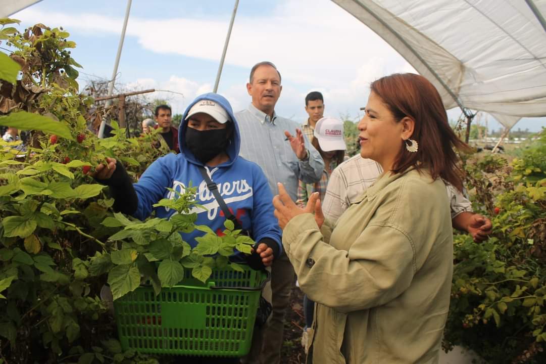 Es fundamental el Sistema Estatal de Cuidados y mejorar acceso a la salud de jornaleras agrícolas: Fabiola Alanís