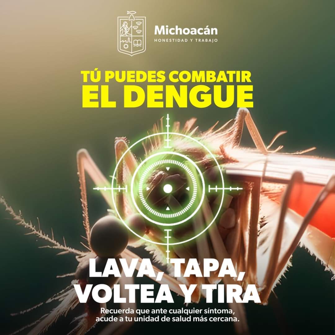 Protege a tu familia del dengue con estas recomendaciones de la SSM