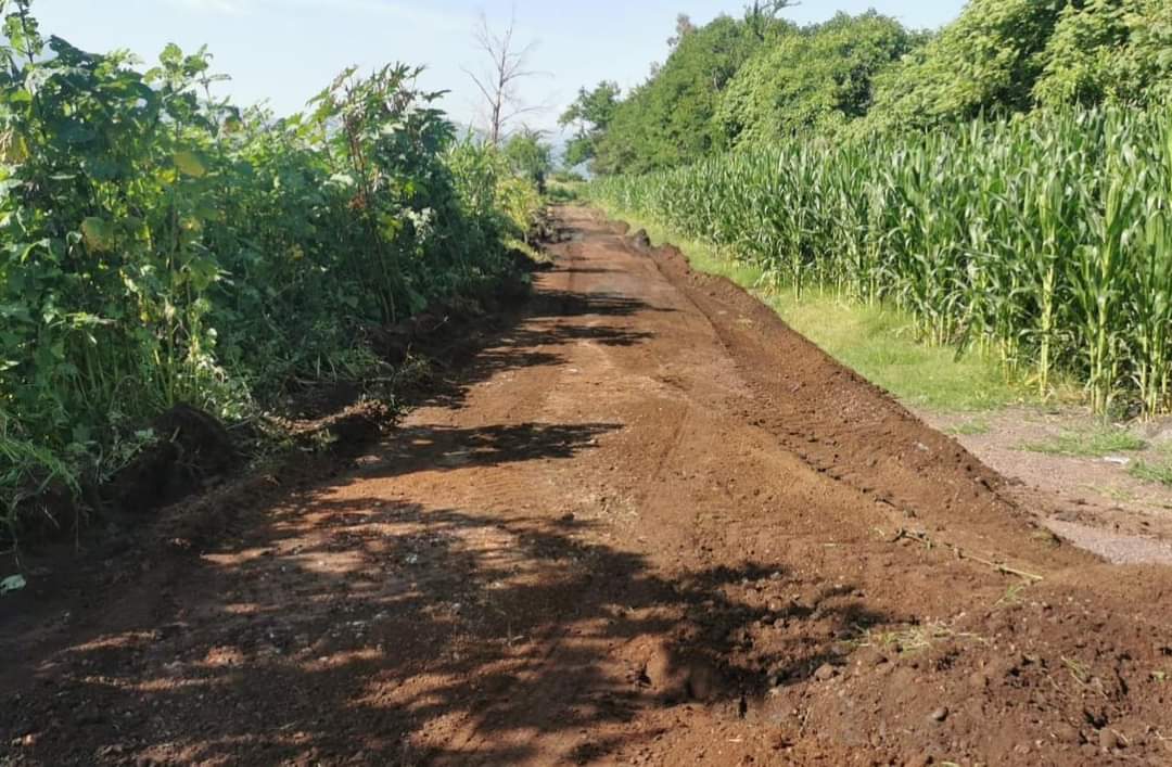 Nivelan y mejoran caminos saca cosechas a la comunidad El Guamúchil