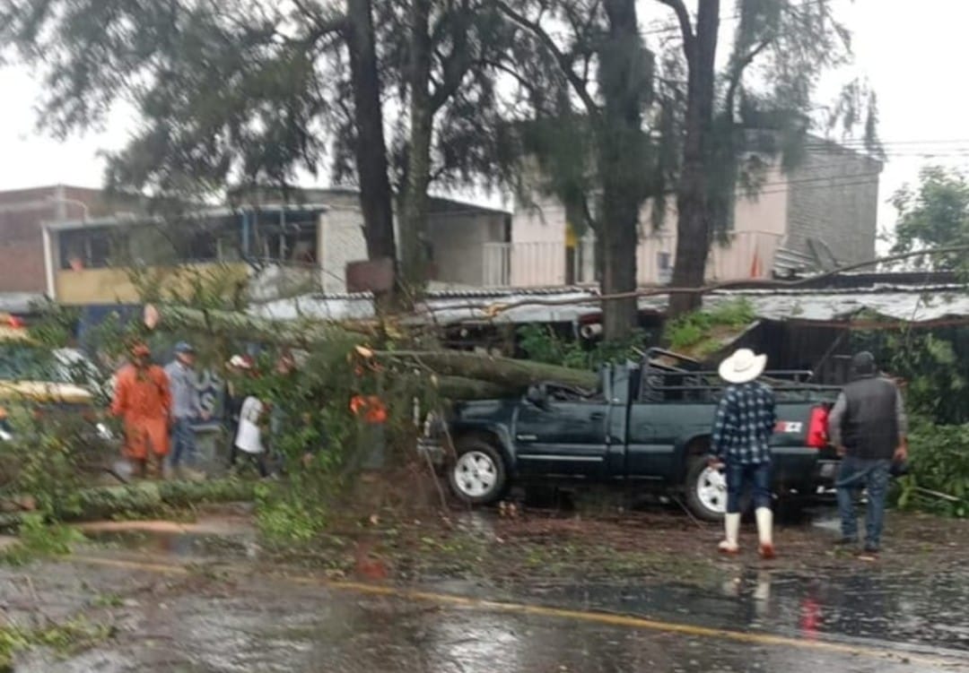 Fuerte tormenta azota Los Reyes, tumbó árboles y causa encharcamientos