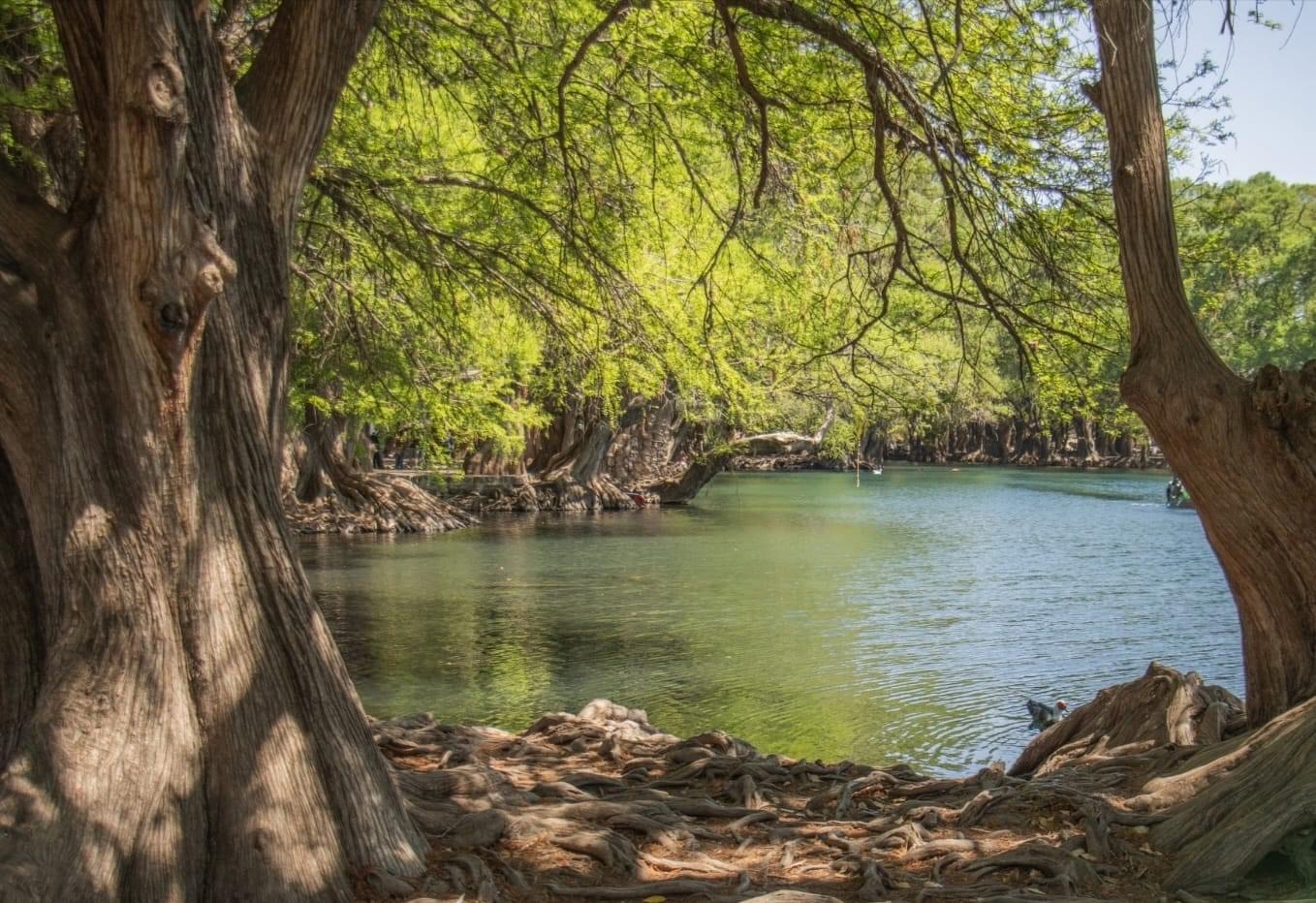 Mantendrán costos de entrada al lago de Camécuaro; habitantes locales ingresarán gratis