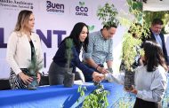 Universidad Capital suma esfuerzos con Ayuntamiento y plantará mil 200 árboles a Ciudad Árbol