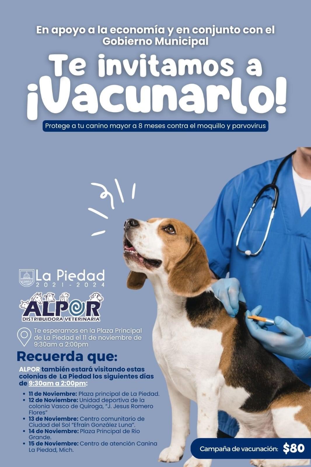 HABRÁ JORNADA DE VACUNACIÓN PARA CANINOS