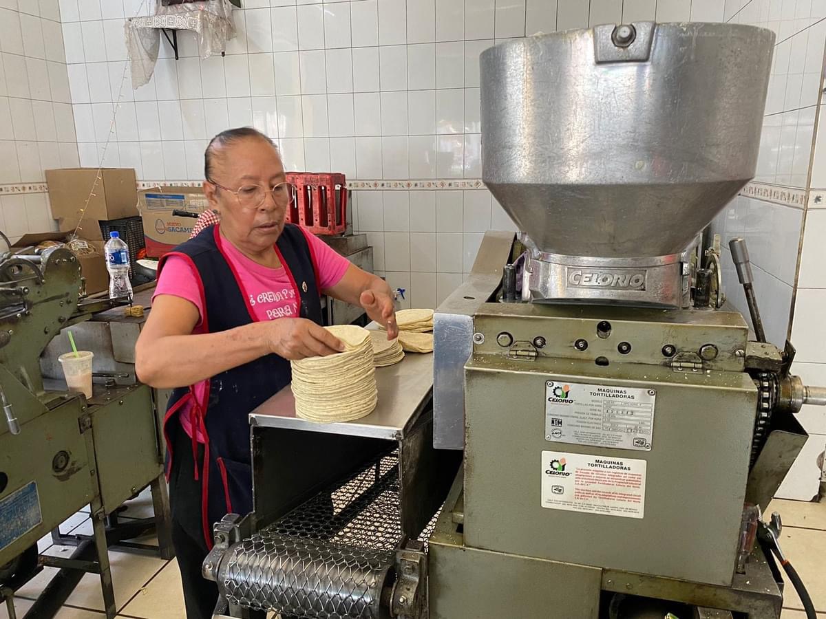 Kilo de tortillas llegó a los 30 pesos; masa se quedó en 24 pesos