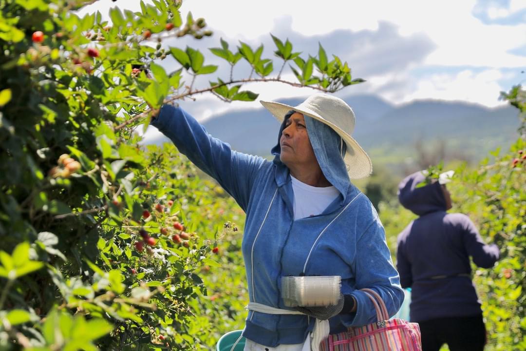 Reporta Bedolla cerca de 25 mil nuevos empleos durante su gobierno