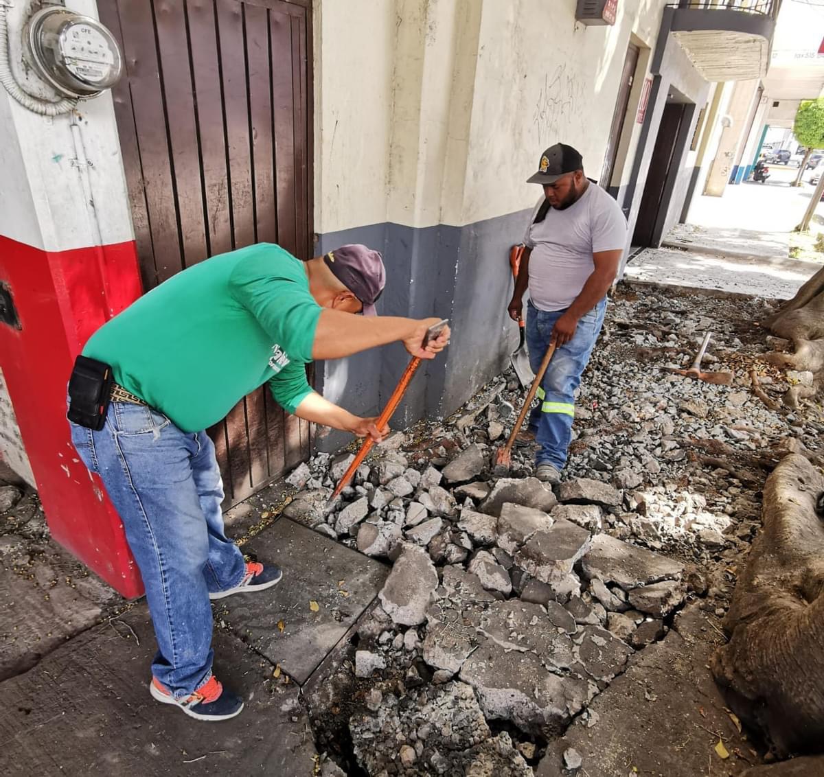 Realizan rehabilitación de banqueta en la calle Martínez de Navarrete