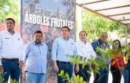 GOBIERNO DE LA PIEDAD ENTREGA ÁRBOLES FRUTALES A FAMILIAS DE LAS COMUNIDADES