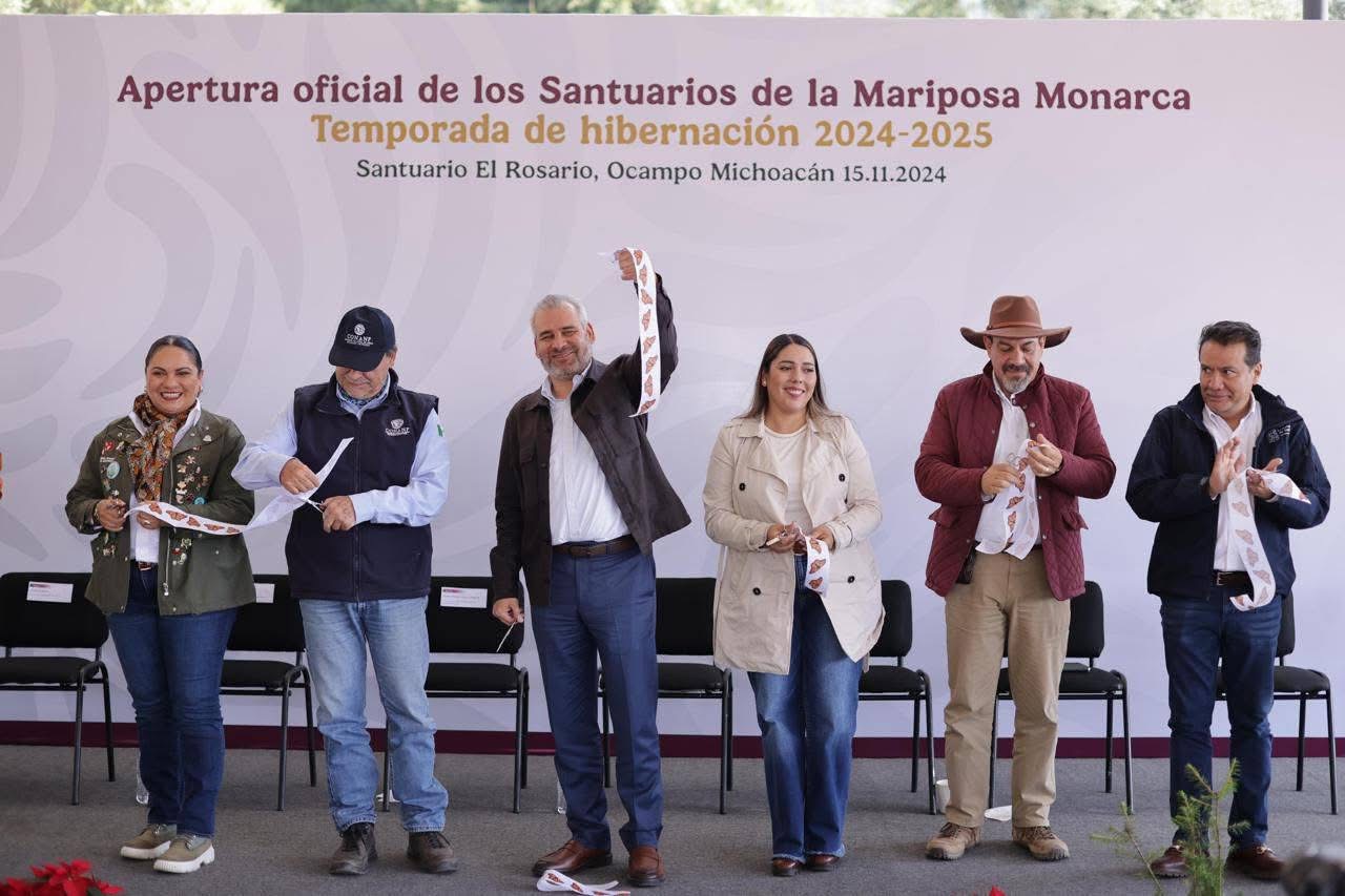 Ante millones de Mariposas Monarca, Michoacán vive un espectáculo único en el mundo: Bedolla