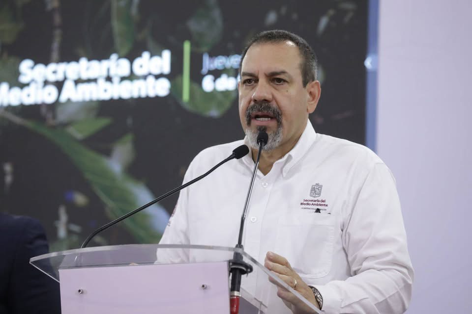 Certificación ProForest Avocado protege 49 mil huertas exportadoras de aguacate