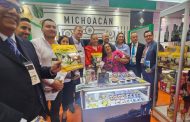 Limoneros de Michoacán buscan conquistar mercado asiático: Sedeco