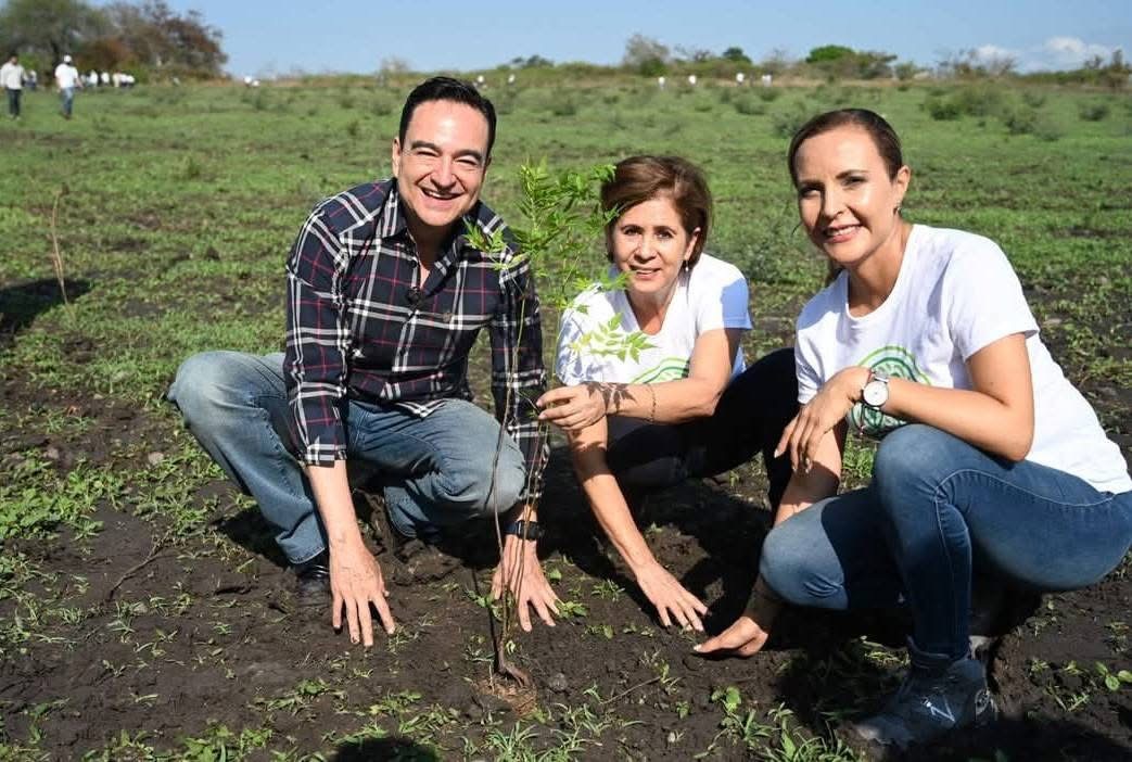 Zamora recibirá el distintivo de “Ciudad Árbol del Mundo”